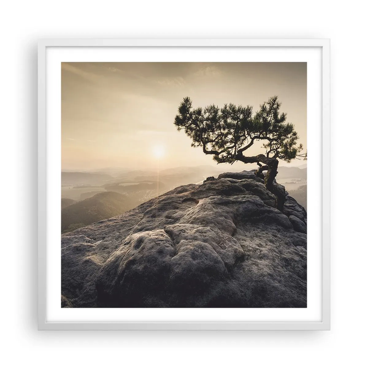 Plakat w białej ramie - Życie zawsze zwycięża - 60x60 cm