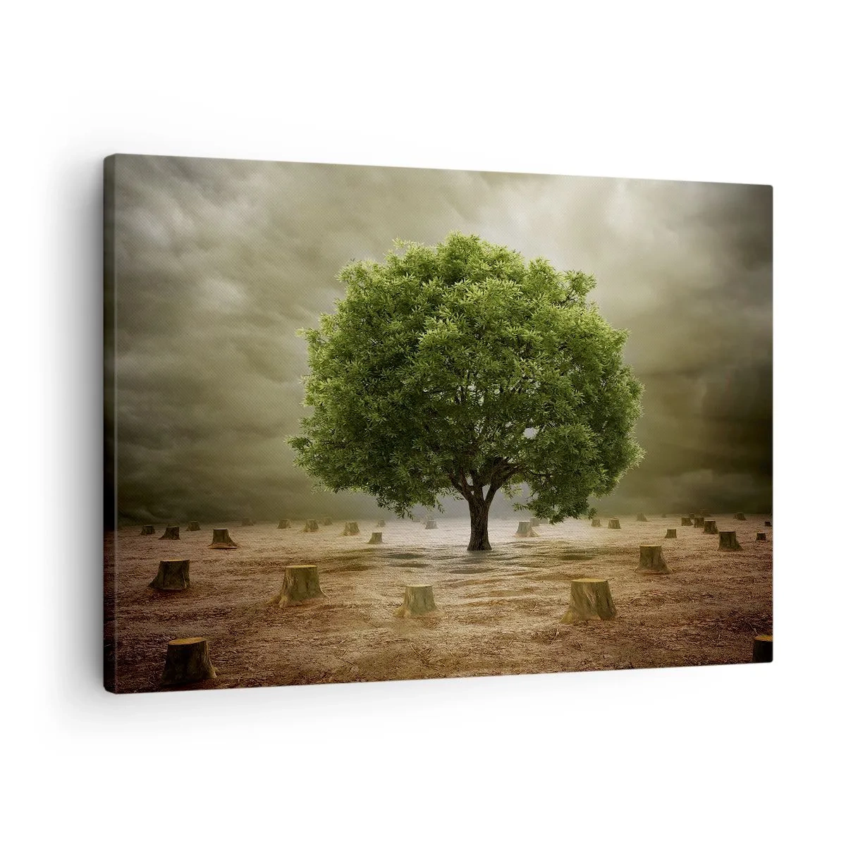 Obraz na płótnie - Zielone drzewo otoczone pniami ściętych drzew na tle pochmurnego nieba - 70x50cm - Cała nadzieja - Nowoczesna dekoracja ścienna do salonu i sypialni ARTTOR