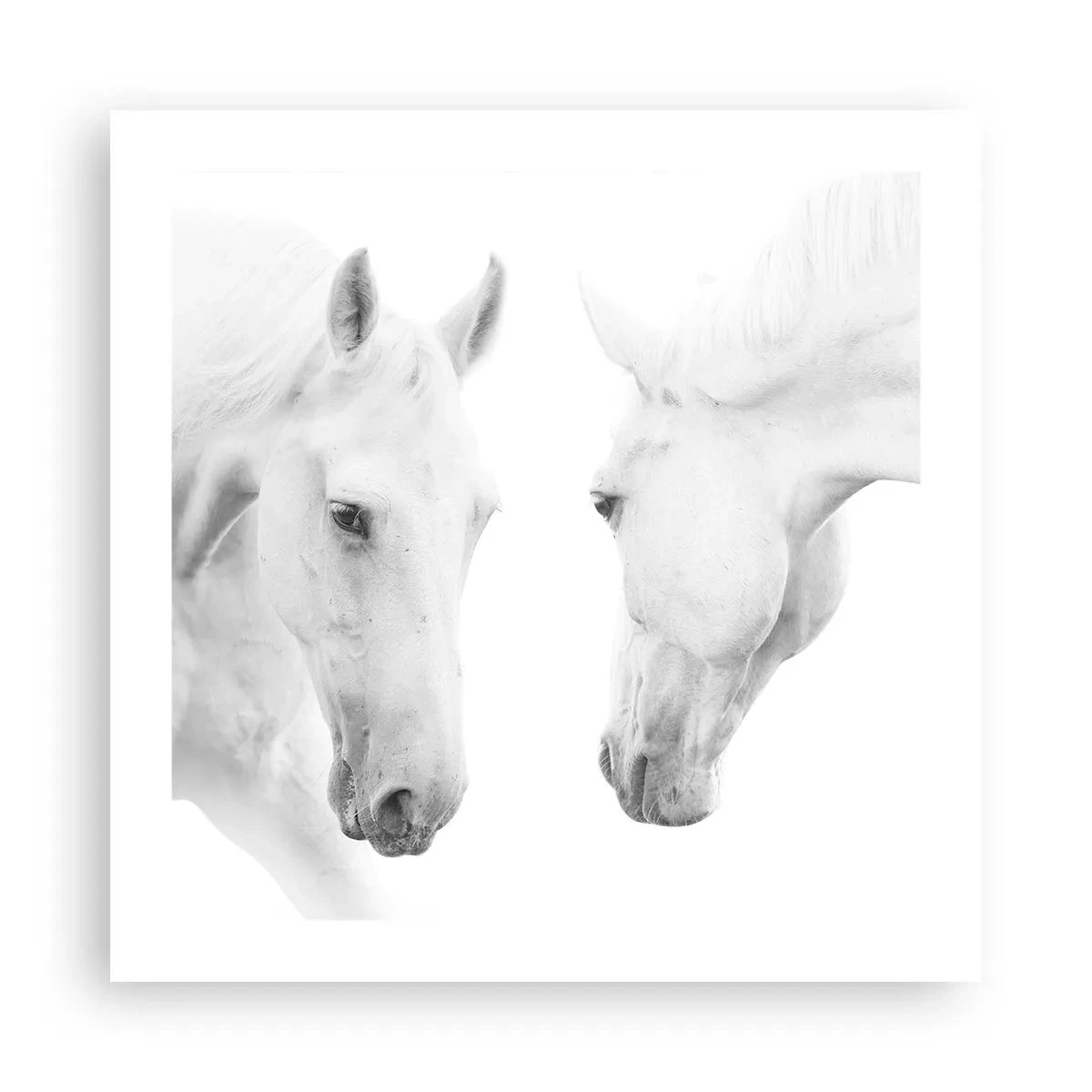 Plakat - Czy to jest przyjaźń…? - 50x50 cm