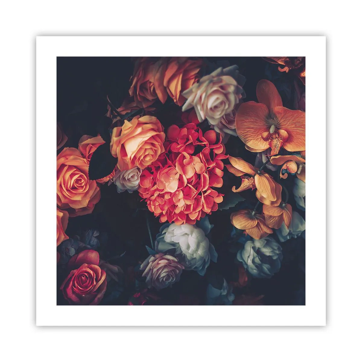 Plakat - Jak u holenderskich mistrzów - 50x50 cm