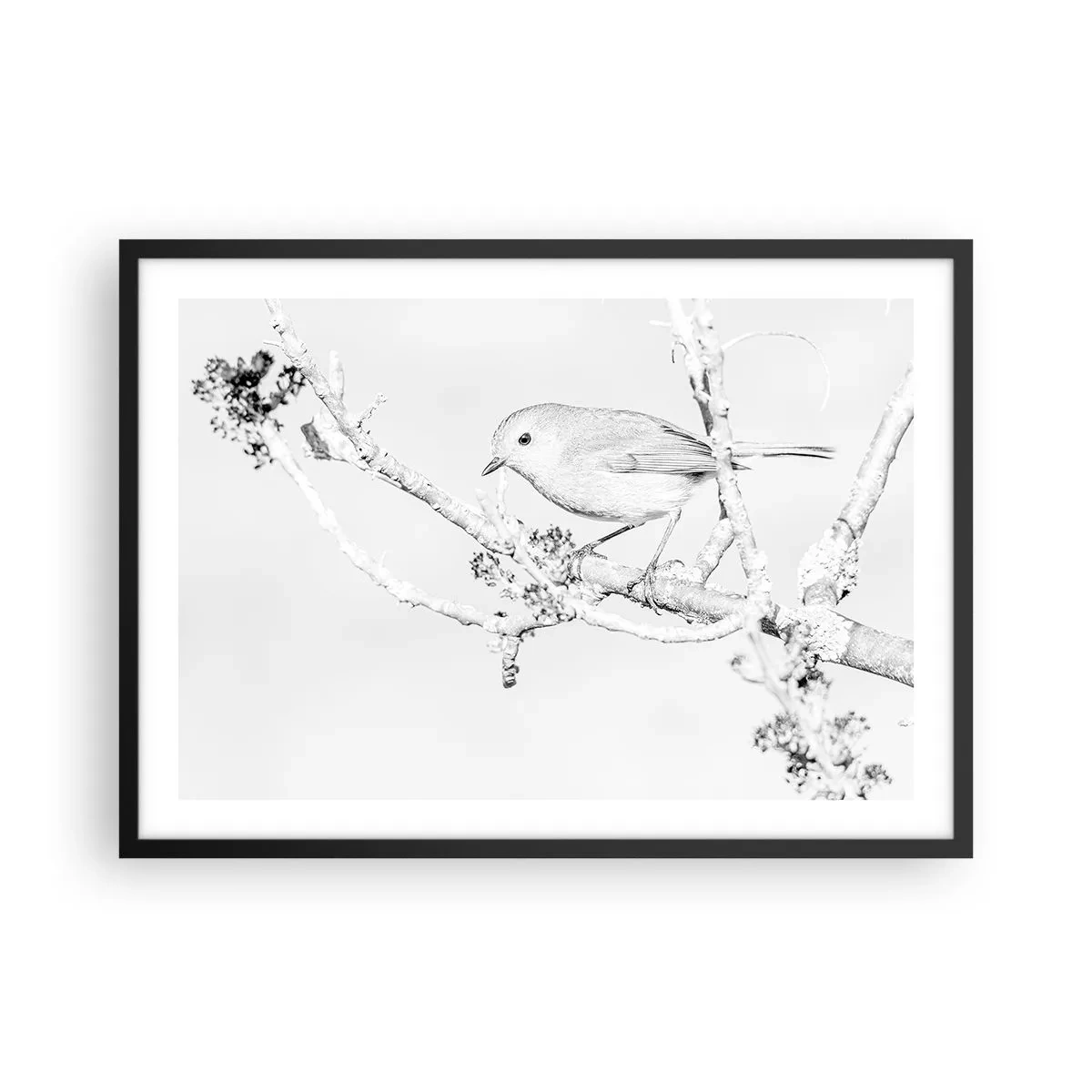 Plakat w czarnej ramie - Ptak na gałęzi w czerni i bieli z minimalistycznym stylem - 70x50cm - Zimowy poranek - Nowoczesna dekoracja ścienna do salonu i sypialni ARTTOR