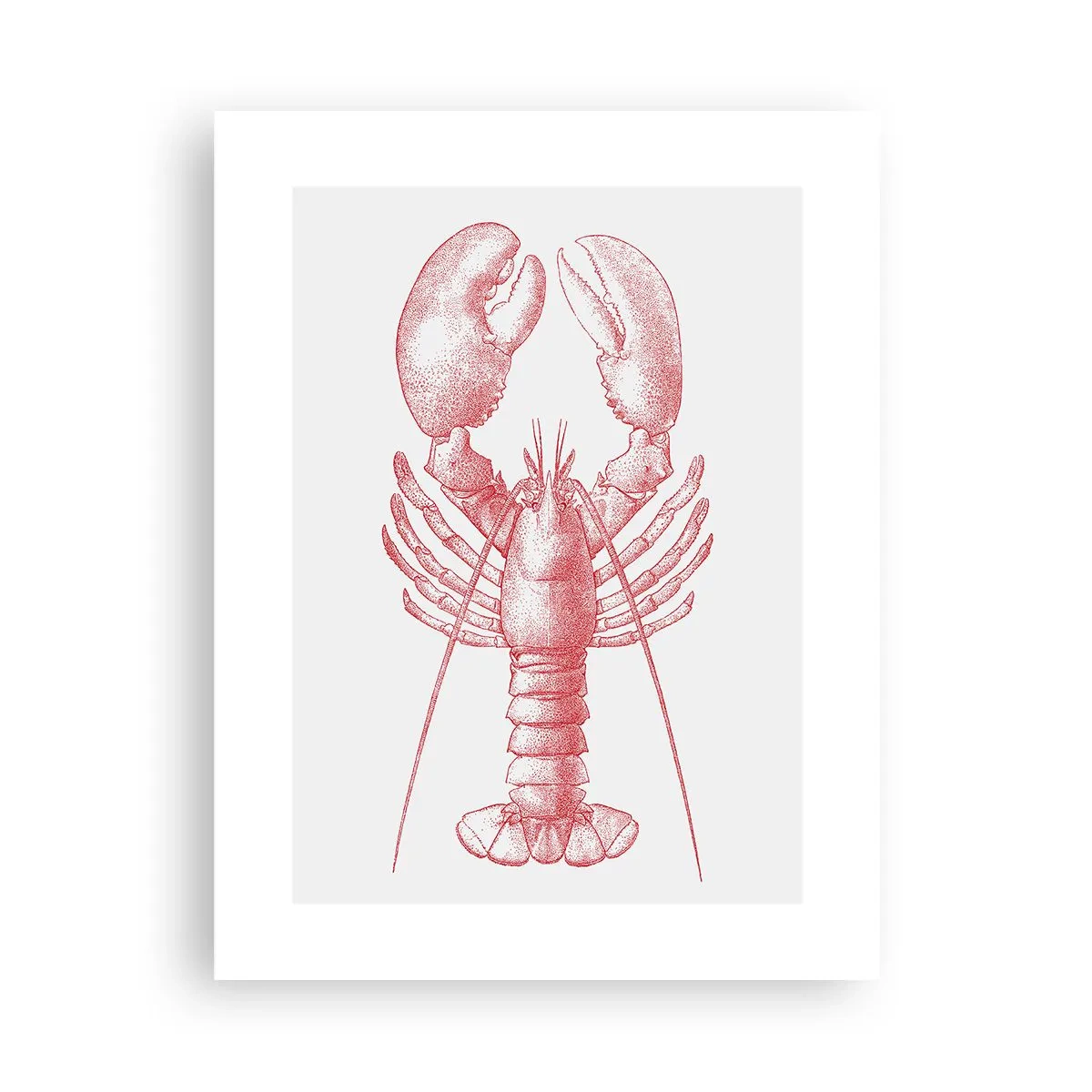 Plakat - Homar godny Homera - 30x40 cm