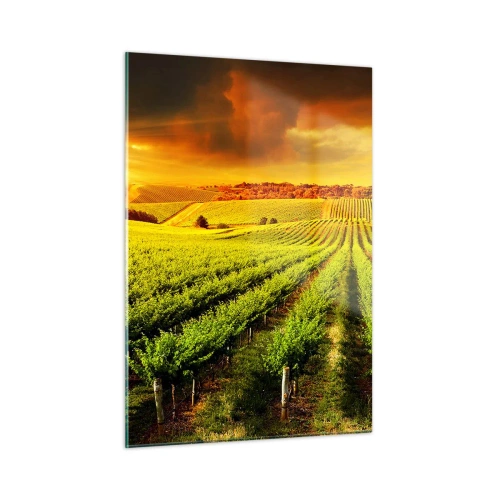 Obraz na szkle - Winnica w świetle zachodzącego słońca - 50x70cm - Pod australijskim słońcem - Nowoczesna dekoracja ścienna do salonu, kuchni i sypialni ARTTOR