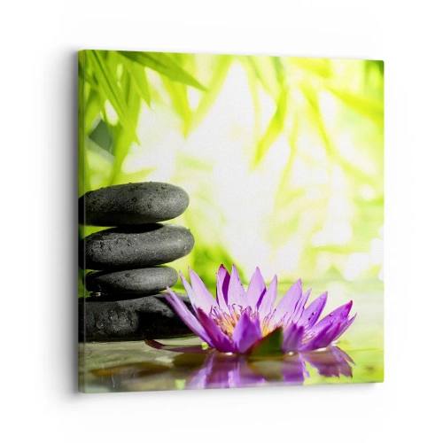 Obraz na płótnie - W bambusowym chruśniaku - 30x30 cm