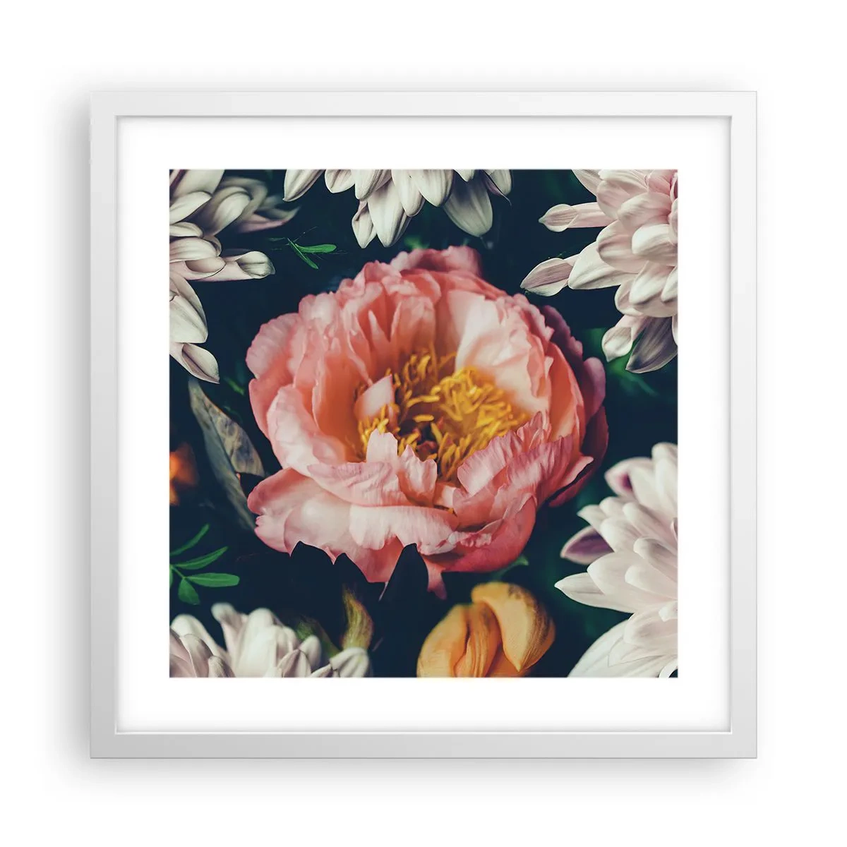 Plakat w białej ramie - Z barokowym przepychem - 40x40 cm