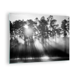 Obraz na szkle - Czarno-białe drzewa w lesie z promieniami słońca w mgiełce - 70x50cm - Niepowstrzymane słońce - Nowoczesna dekoracja ścienna do salonu i sypialni ARTTOR