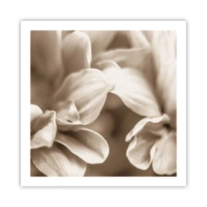 Plakat - Łagodne jak uśmiech - 60x60 cm