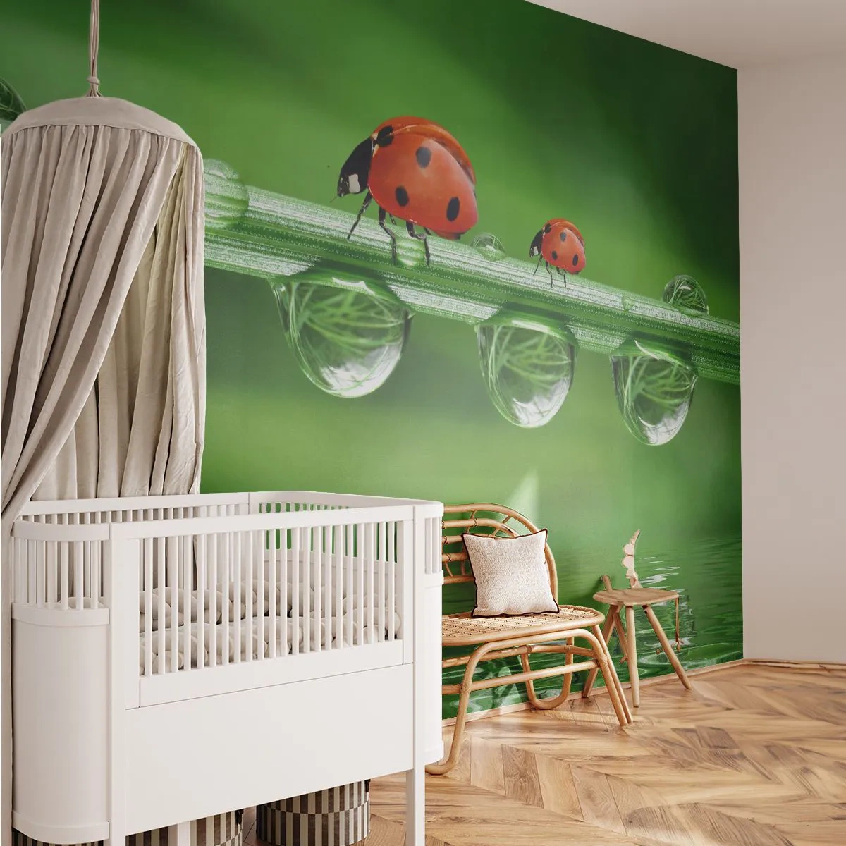 Fototapeta Premium Canvas - W drodze całe lato - Biedronka, Kropla Wody, Natura - 450x315 cm