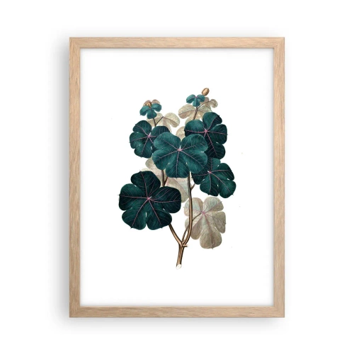 Plakat w ramie jasny dąb - Ze starego zielnika - 30x40 cm