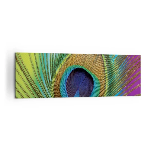 Obraz na płótnie - Zbliżenie na pióro pawia z wyrazistymi kolorami - 160x50cm - Oko w oko - Nowoczesna dekoracja ścienna do salonu i sypialni ARTTOR