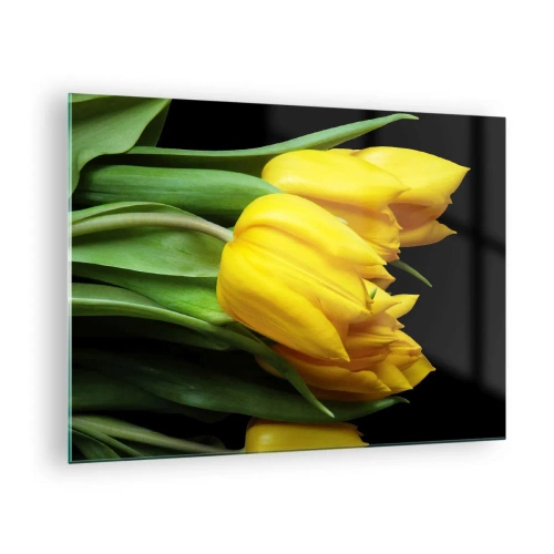 Obraz na szkle - Żółte tulipany na czarnym tle w eleganckim ujęciu - 70x50cm - Powstały z czystego słońca - Nowoczesna dekoracja ścienna do salonu i sypialni ARTTOR