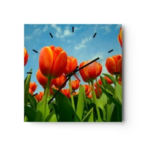 Zegar ścienny - Pole czerwono-pomarańczowych tulipanów na tle błękitnego nieba - 30x30cm - Oprócz błękitnego nieba nic im w życiu nie potrzeba - Nowoczesna dekoracja ścienna do salonu i sypialni ARTTOR
