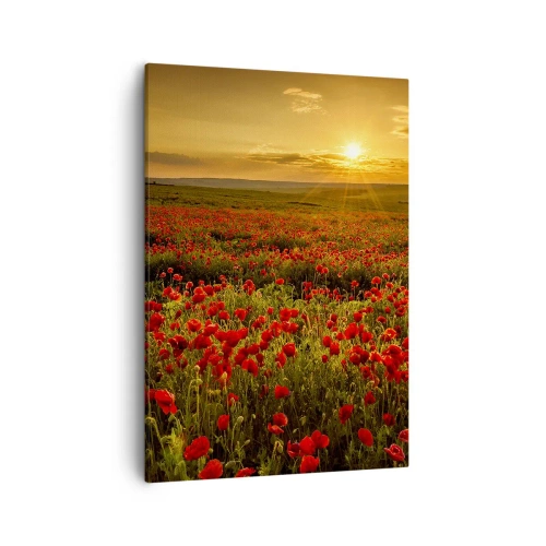Obraz na płótnie - Pole czerwonych maków o zachodzie słońca - 50x70cm - Wśród fali łąk szumiących, wśród kwiatów powodzi - Nowoczesna dekoracja ścienna do salonu, kuchni i sypialni ARTTOR
