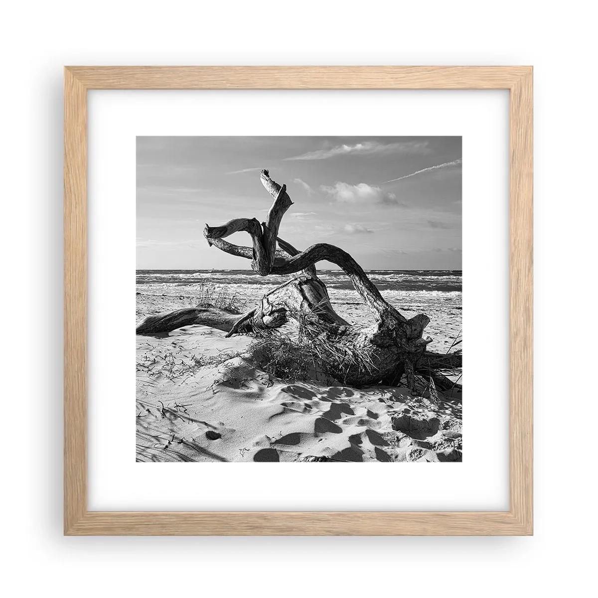 Plakat w ramie jasny dąb - Morska rzeźba - 30x30 cm