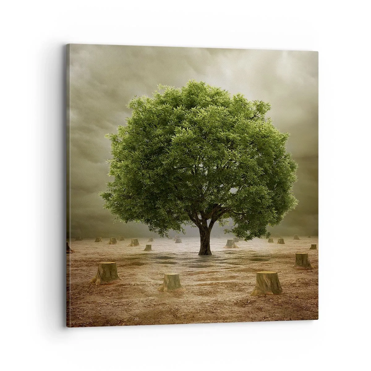 Obraz na płótnie - Cała nadzieja - 70x70 cm