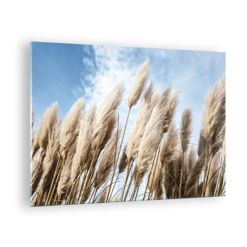 Obraz na szkle - Dekoracyjne trawy pampasowe na tle błękitnego nieba - 70x50cm - Słoneczna i wietrzna pieszczota - Nowoczesna dekoracja ścienna do salonu i sypialni ARTTOR