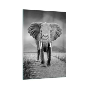 Obraz na szkle - Potężny słoń na sawannie w monochromatycznej tonacji - 80x120cm - Gospodarz wita - Nowoczesna dekoracja ścienna do salonu i sypialni ARTTOR