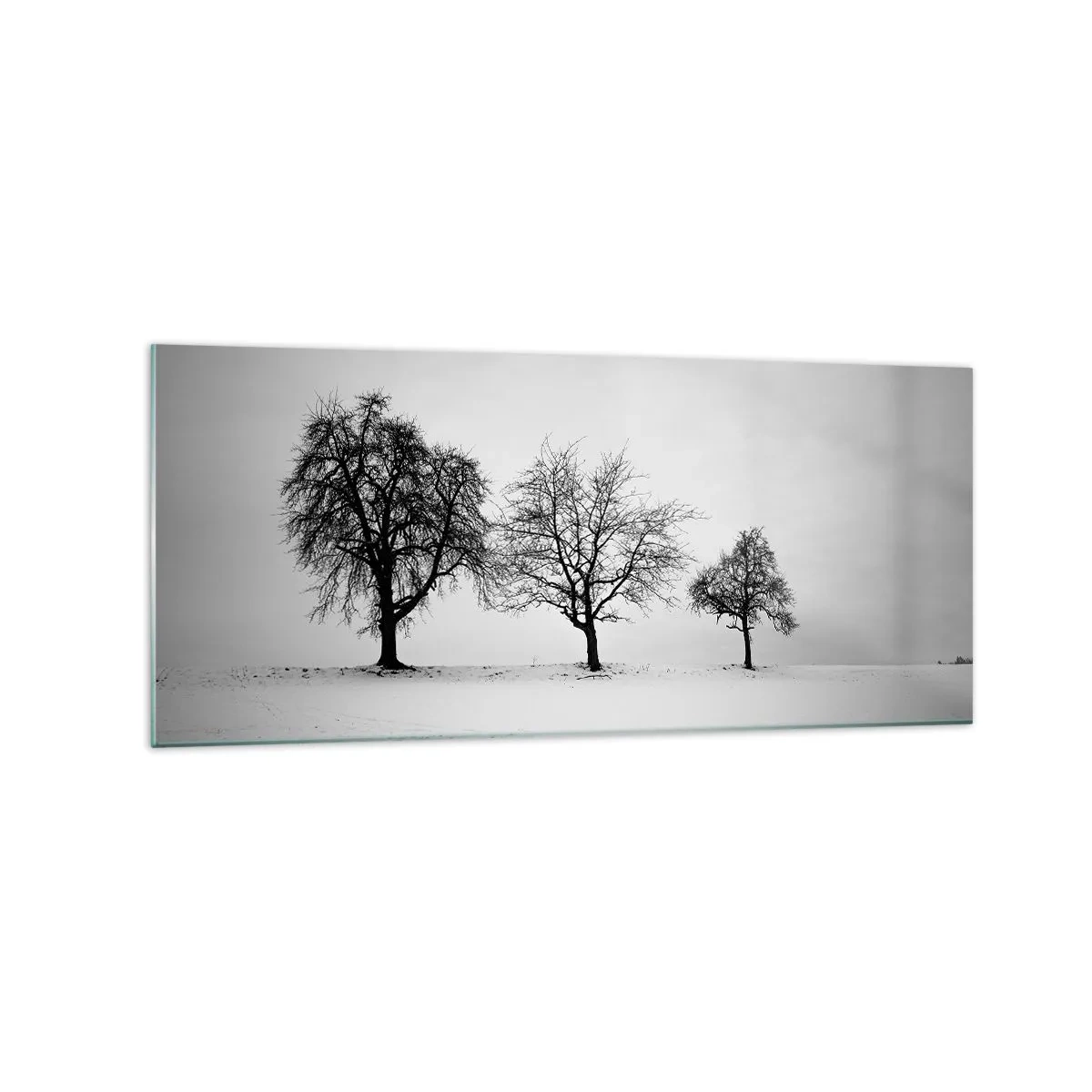 Obraz na szkle - Trzy drzewa na zaśnieżonym polu w monochromatycznym stylu - 120x50cm - O czym śnią? - Nowoczesna dekoracja ścienna do salonu i sypialni ARTTOR