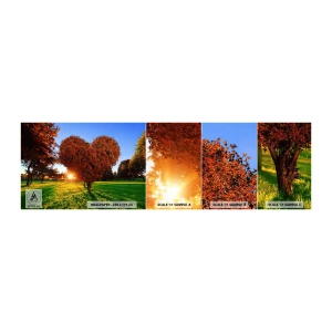 Fototapeta Próbka Samoprzylepna Deluxe Sticker - I jak nie kochać jesieni - Krajobraz, Drzewo, Promienie Słońca - 100x30 cm