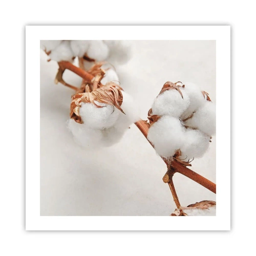 Plakat - Tylko tulić - 50x50 cm