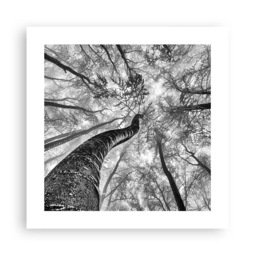 Plakat - Wyścig do światła - 40x40 cm