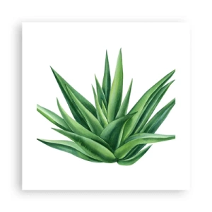 Plakat - Zieleń – siła – życie - 40x40 cm