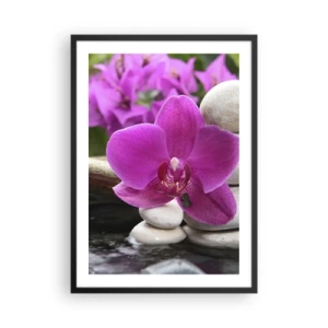 Plakat w czarnej ramie - Fioletowa orchidea na tle kamieni w harmonijnym ułożeniu - 50x70cm - Już odpoczywasz - Nowoczesna dekoracja ścienna do salonu i sypialni ARTTOR