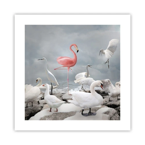 Plakat - Skąd się tu wziąłem? - 40x40 cm