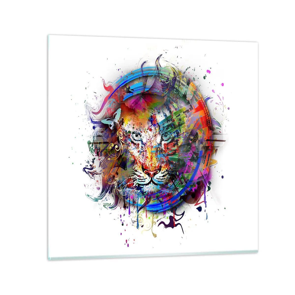 Obraz na szkle - Czai się za tęczową zasłoną - 50x50 cm