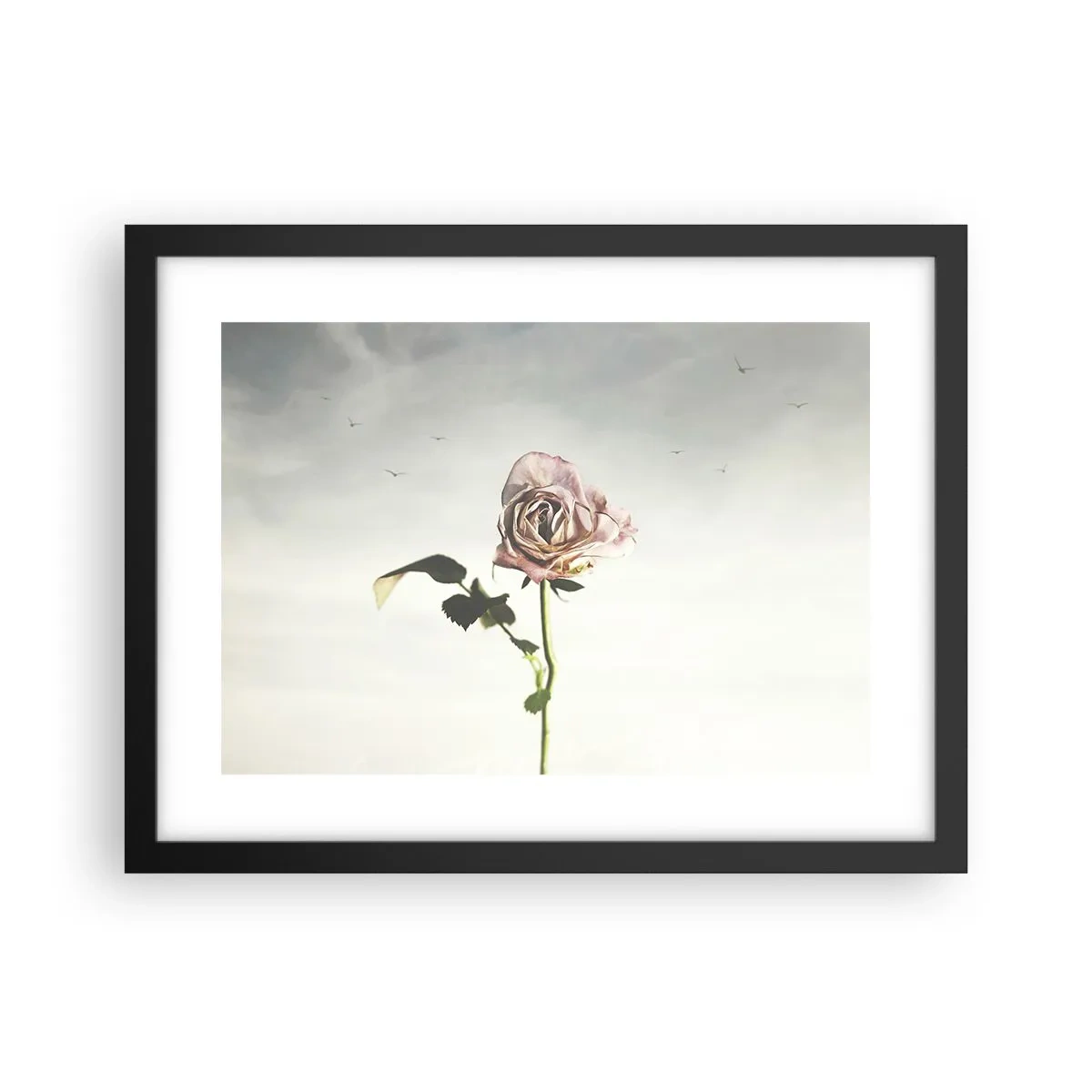 Plakat w czarnej ramie - Powitanie wiosny - 40x30 cm