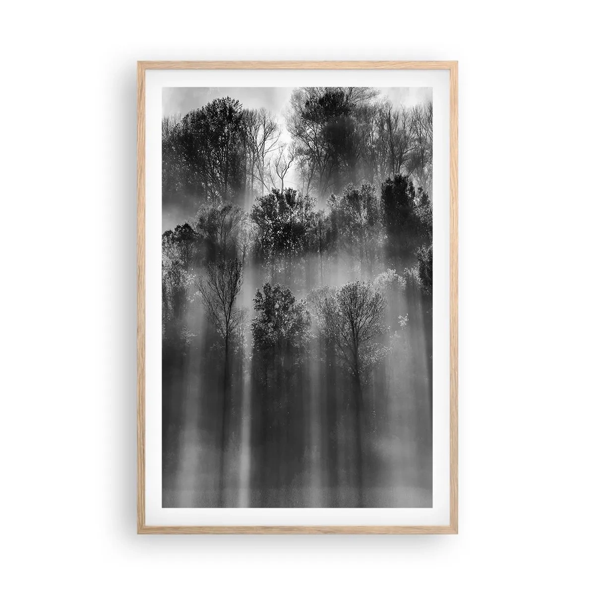 Plakat w ramie jasny dąb - W strumieniach światła - 61x91 cm