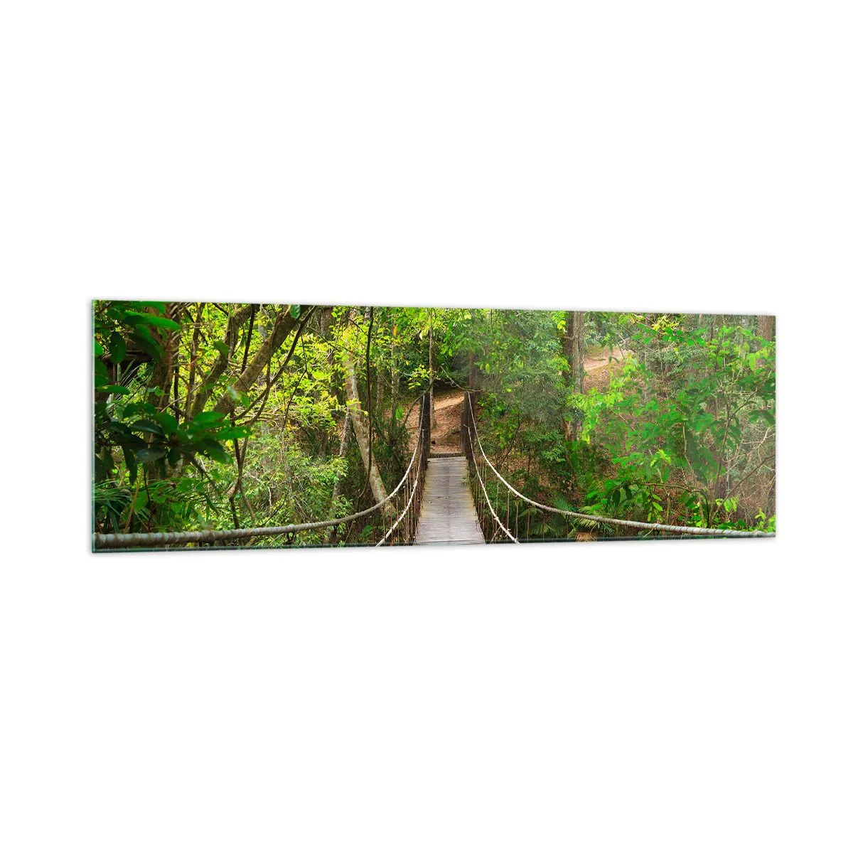 Obraz na szkle - Wiszący most w otoczeniu zielonego lasu deszczowego - 160x50cm - Bo w ogrodzie rośnie pnącze - Nowoczesna dekoracja ścienna do salonu i sypialni ARTTOR