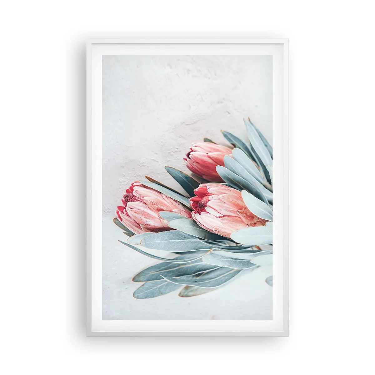 Plakat w białej ramie - Zawstydzone własną urodą - 61x91 cm