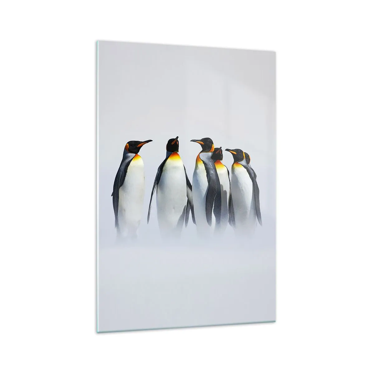 Obraz na szkle - Grupa pingwinów cesarskich w zimowej mgle - 70x100cm - Spotkanie w wieczorowych strojach - Nowoczesna dekoracja ścienna do salonu i sypialni ARTTOR