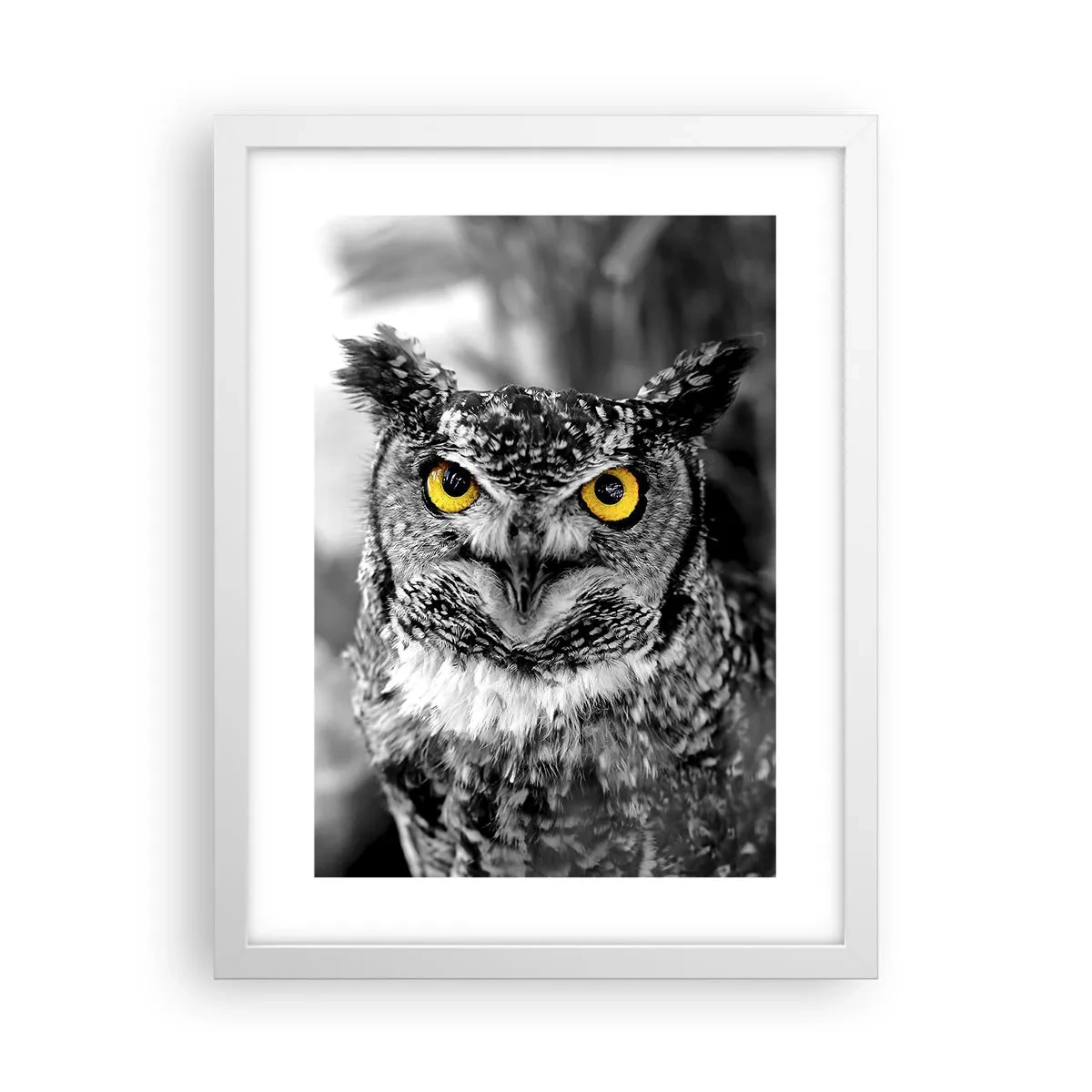 Plakat w białej ramie - Nic się nie ukryje - 30x40 cm