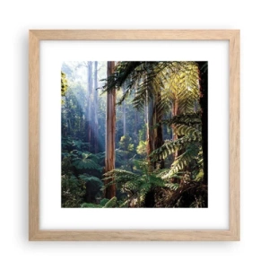 Plakat w ramie jasny dąb - Baśń lasu - 30x30 cm