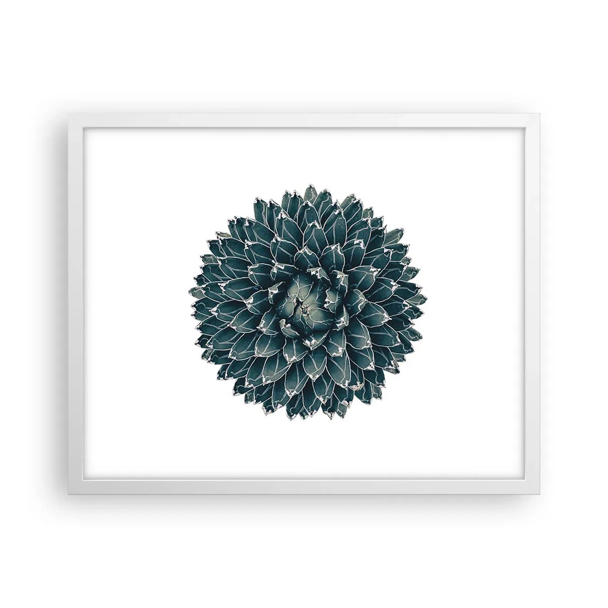 Plakat w białej ramie - Gwiazda pustyni - 50x40 cm