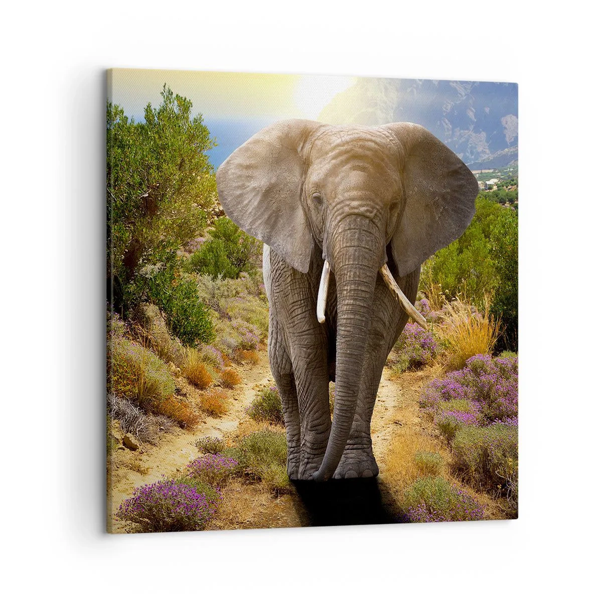 Obraz na płótnie - Tak wyglądał Eden - 50x50 cm