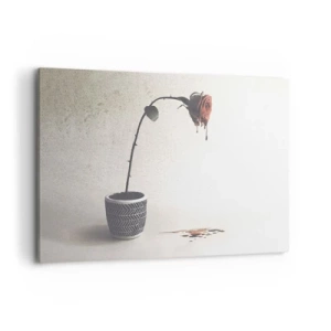 Obraz na płótnie - Czerwona róża w doniczce z kroplami barwnika na białym tle - 120x80cm - Rosa dolorosa - Nowoczesna dekoracja ścienna do salonu, kuchni i sypialni ARTTOR