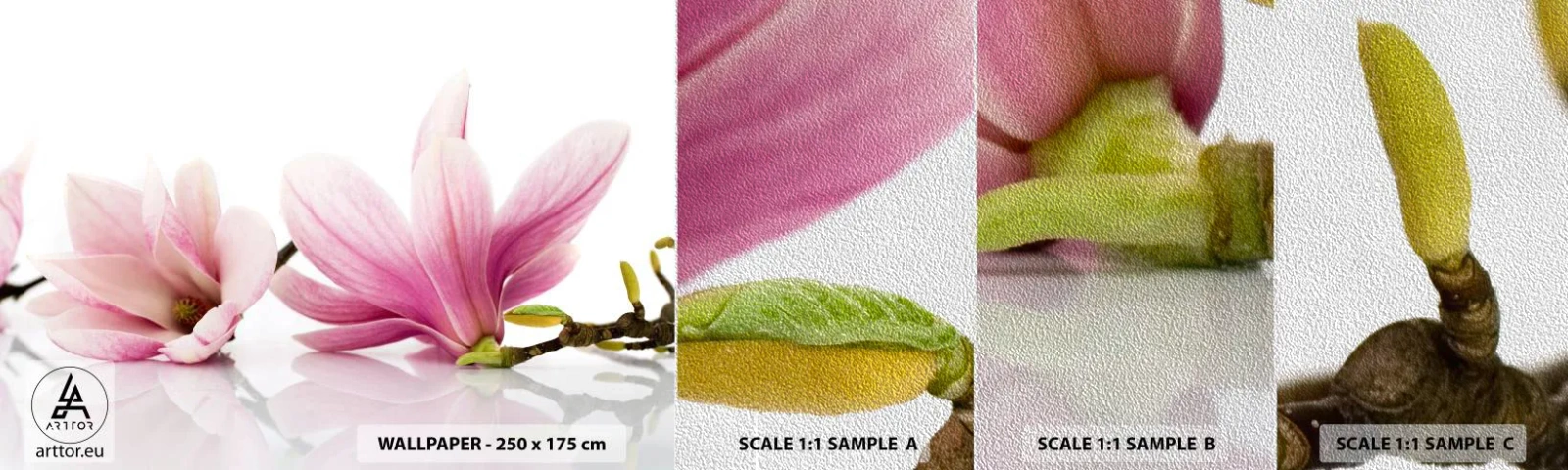 Fototapeta Próbka Premium Sand - Delikatne jak powiew wiosny - Kwiat, Magnolia, Natura - 100x30 cm
