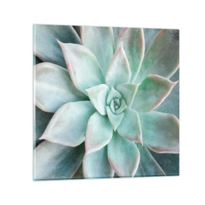 Obraz na szkle - Serce pustyni - 70x70 cm