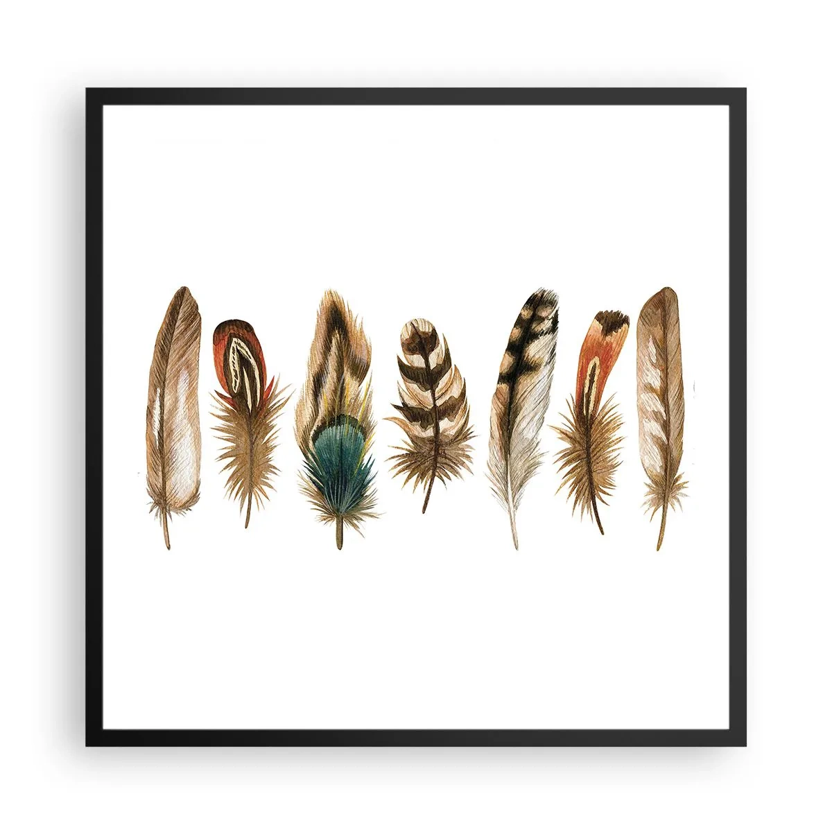 Plakat w czarnej ramie - Pierzasta wariacja - 60x60 cm