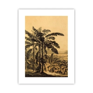 Plakat - w kolonialnym klimacie - 30x40 cm