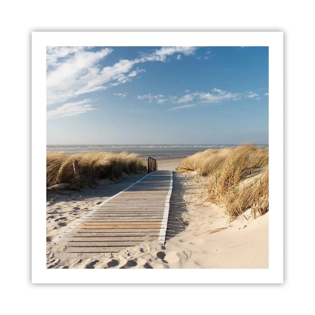 Plakat - Za wydmą, w szumie traw - 60x60 cm