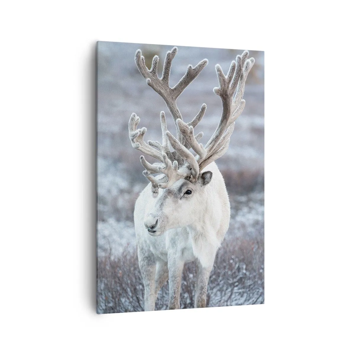 Obraz na płótnie - Biały renifer na tle zimowego krajobrazu - 70x100cm - Portret w słońcu - Nowoczesna dekoracja ścienna do salonu i sypialni ARTTOR