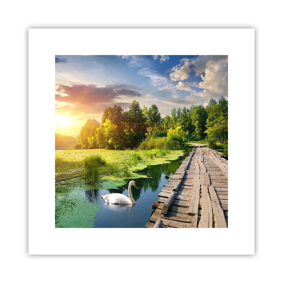 Plakat - Lato, lato wszędzie - 30x30 cm
