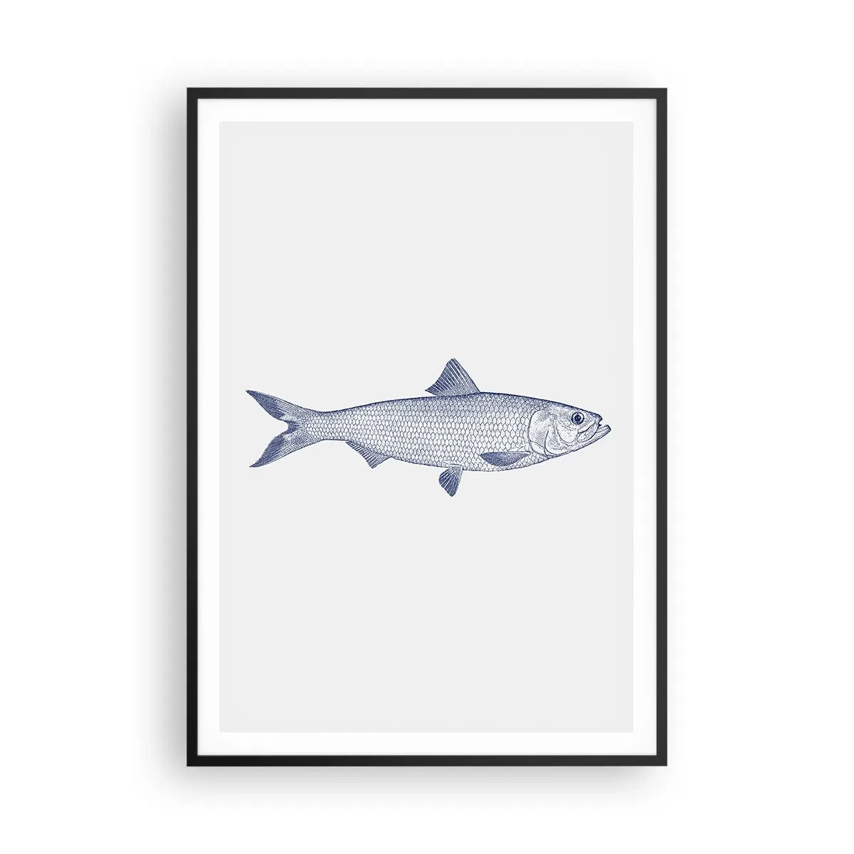 Plakat w czarnej ramie - Pozdrowienia z północnych mórz - 70x100 cm