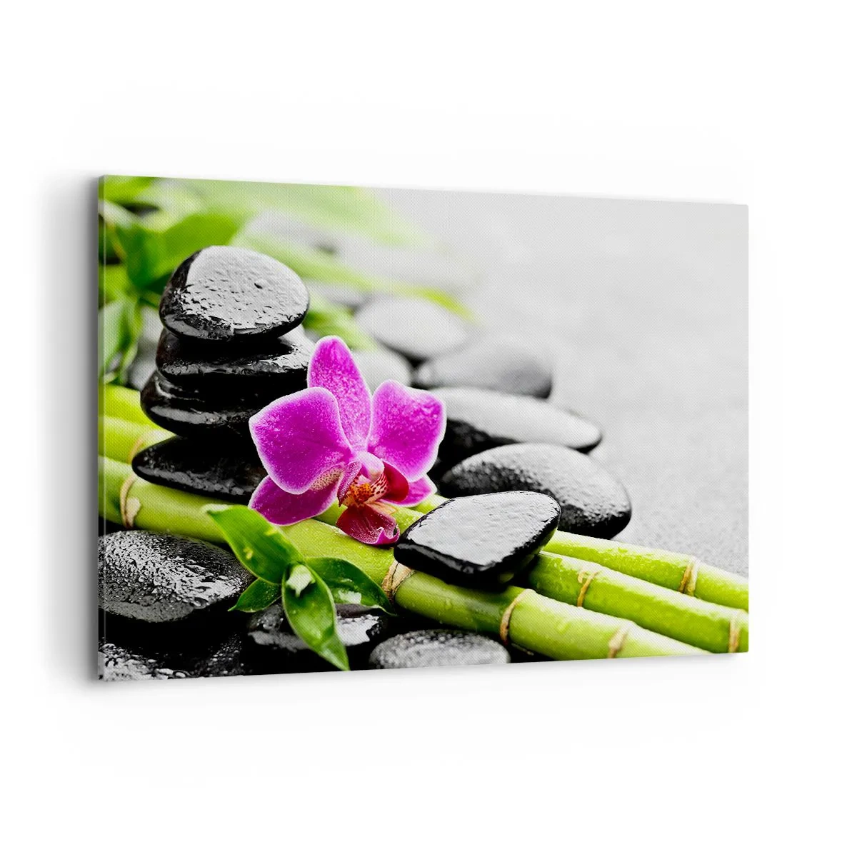 Obraz na płótnie - Fioletowa orchidea, czarne kamienie i bambus w spokojnej kompozycji - 120x80cm - W spokojnej równowadze - Nowoczesna dekoracja ścienna do salonu, kuchni i sypialni ARTTOR