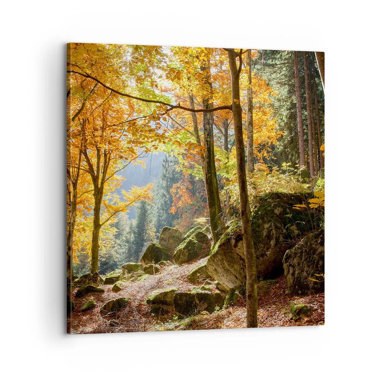 Obraz na płótnie - Czas na odpoczynek - 60x60 cm