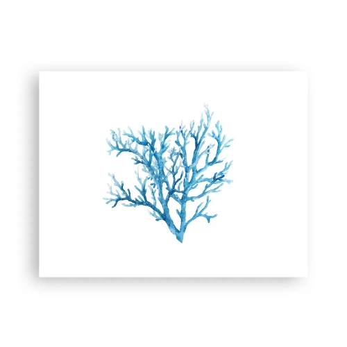 Plakat - Morski filigran - 40x30 cm